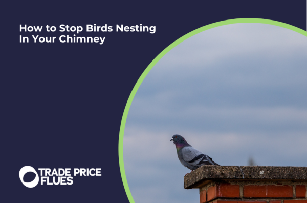 How to Stop Birds Nesting In Your Chimney